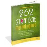 książka 262 strategie marketingowe (Wersja drukowana)